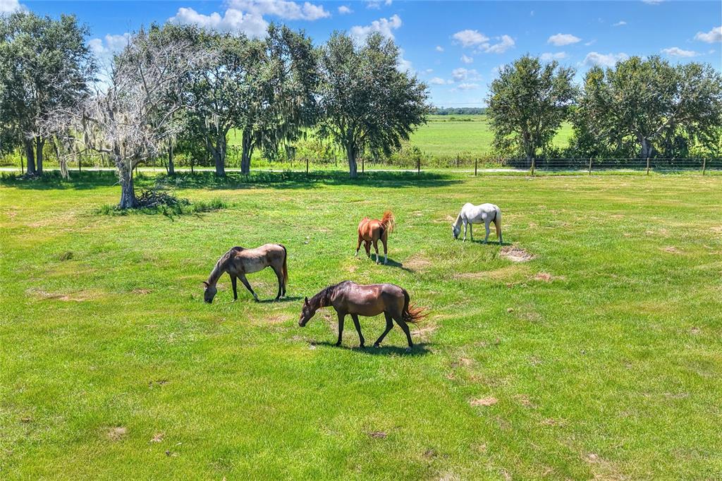 Northwest Limestone Heights Street Arcadia, FL 34266 - Photo 27 of 62