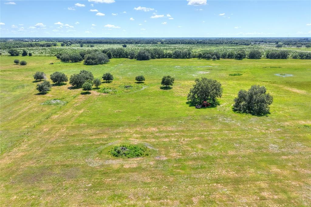 Northwest Limestone Heights Street Arcadia, FL 34266 - Photo 33 of 62