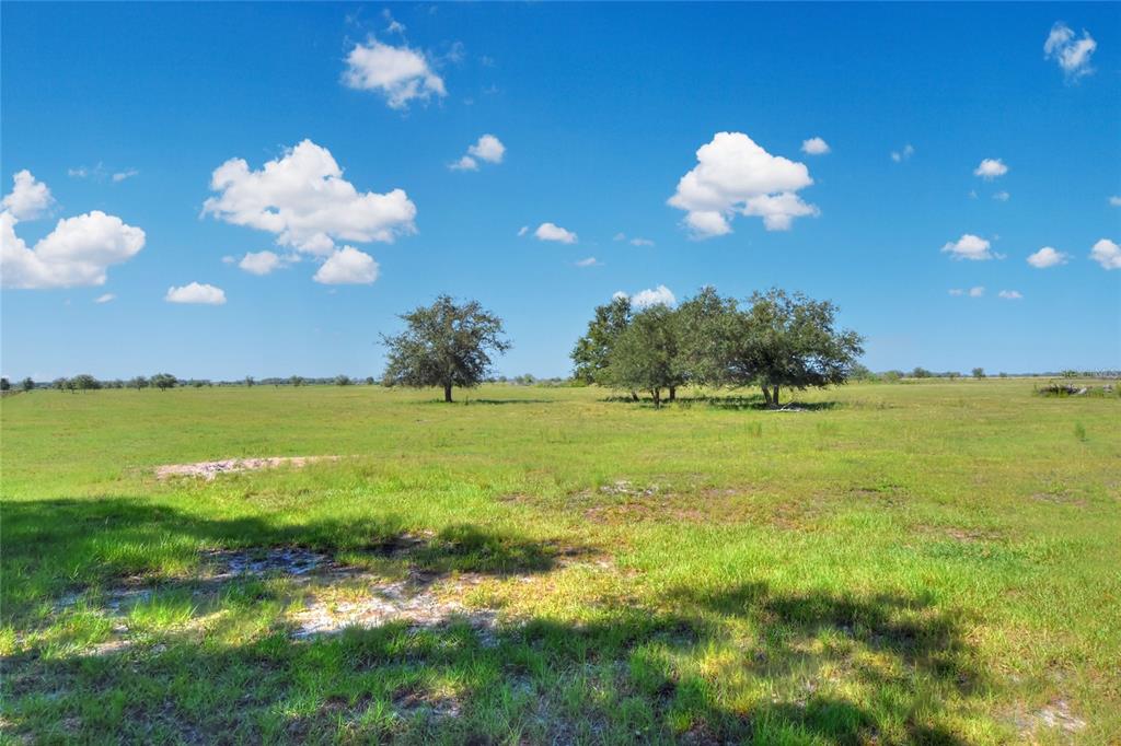 Northwest Limestone Heights Street Arcadia, FL 34266 - Photo 35 of 62