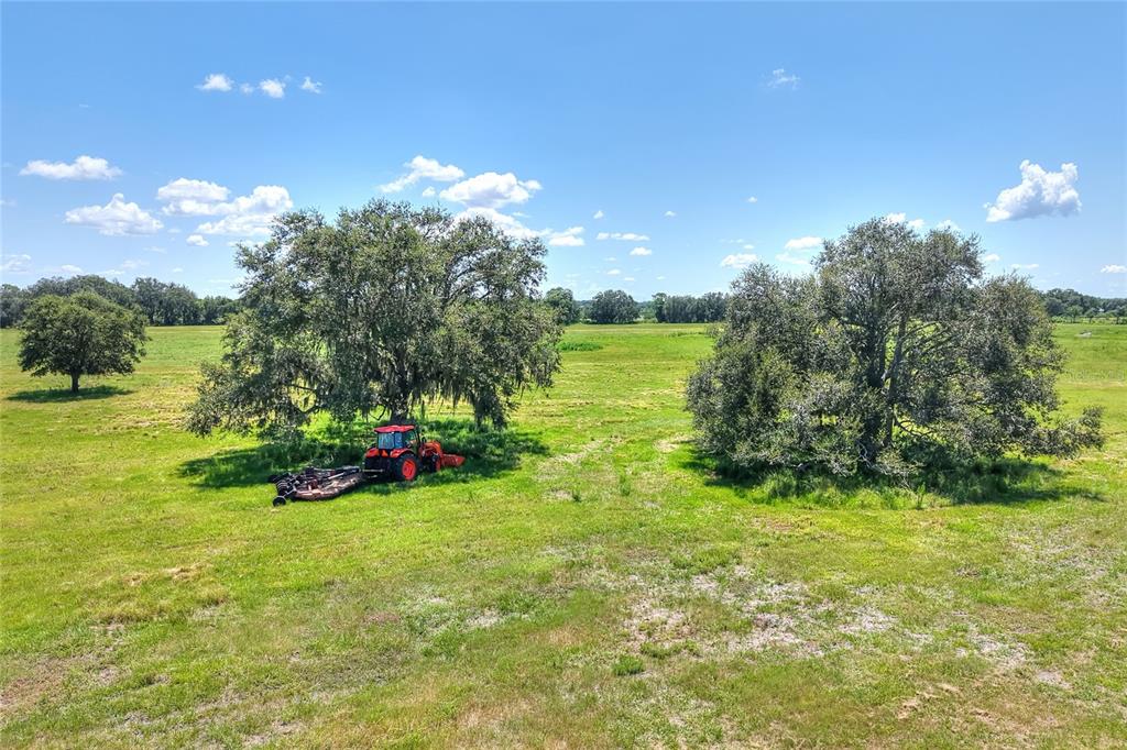 Northwest Limestone Heights Street Arcadia, FL 34266 - Photo 36 of 62