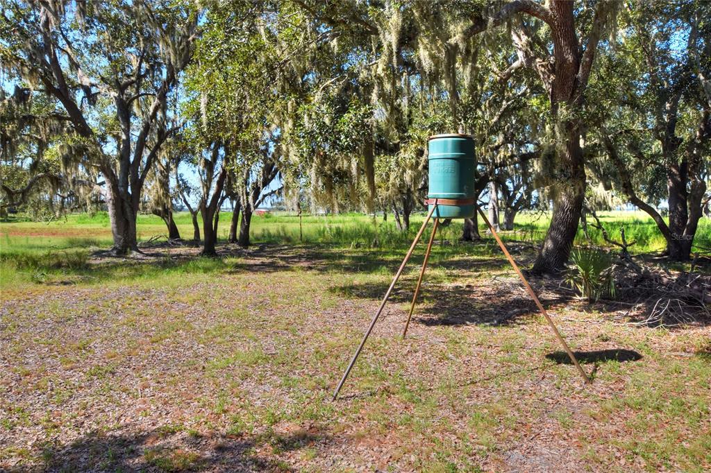 Northwest Limestone Heights Street Arcadia, FL 34266 - Photo 40 of 62