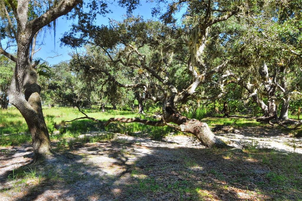 Northwest Limestone Heights Street Arcadia, FL 34266 - Photo 42 of 62