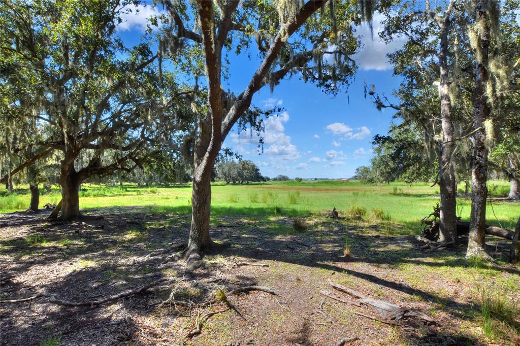 Northwest Limestone Heights Street Arcadia, FL 34266 - Photo 45 of 62