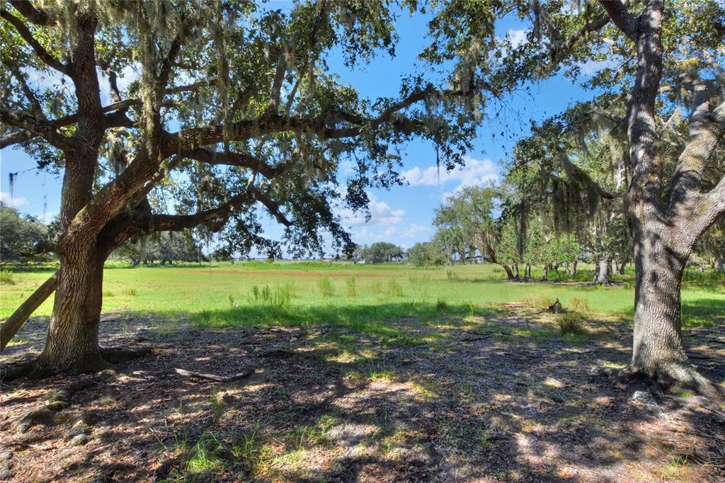 Northwest Limestone Heights Street Arcadia, FL 34266 - Photo 46 of 62