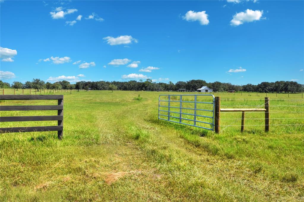 Northwest Limestone Heights Street Arcadia, FL 34266 - Photo 53 of 62