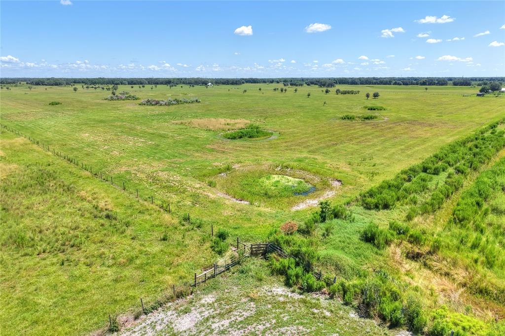 Northwest Limestone Heights Street Arcadia, FL 34266 - Photo 56 of 62