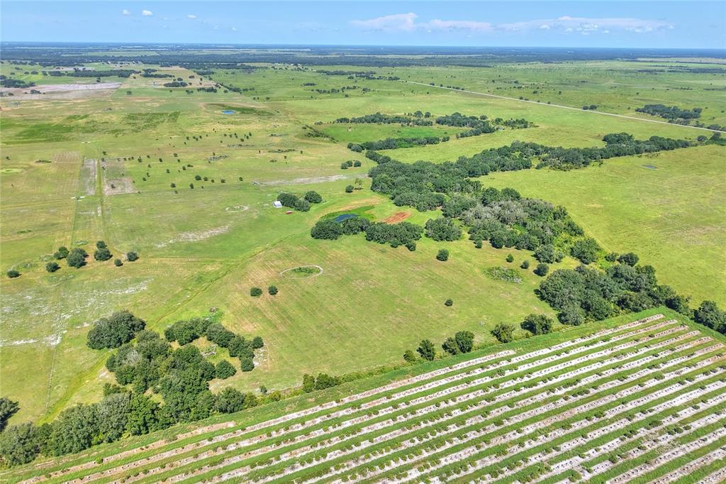 Northwest Limestone Heights Street Arcadia, FL 34266 - Photo 60 of 62