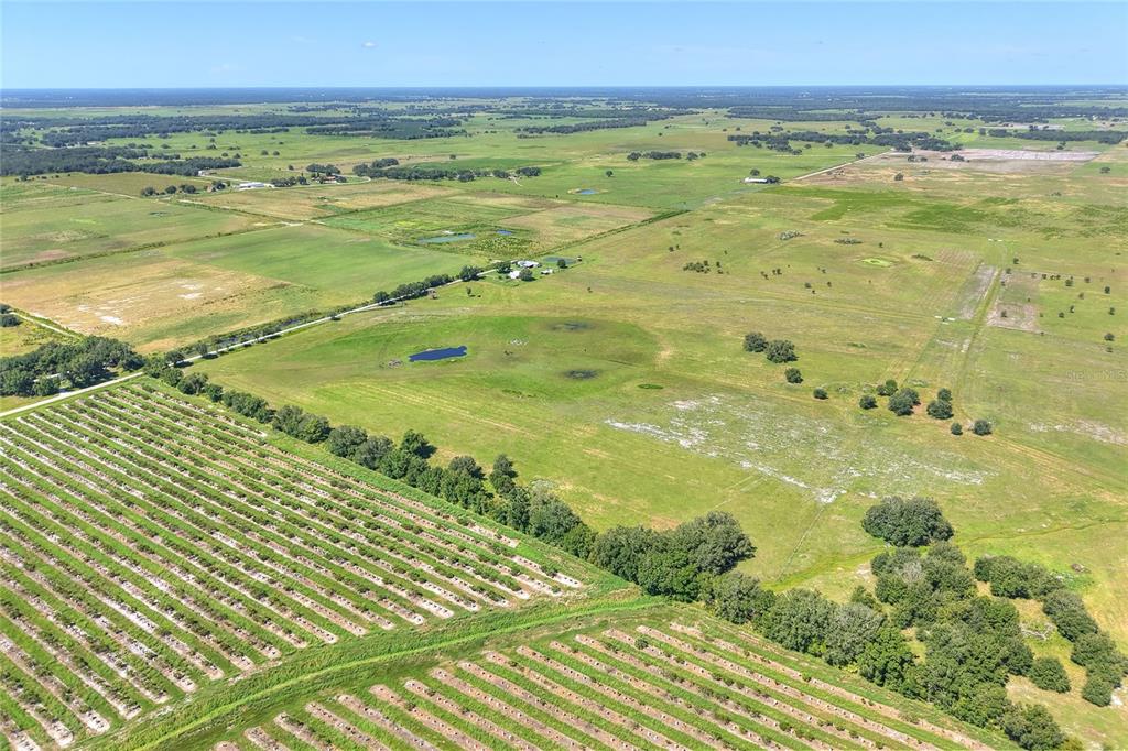 Northwest Limestone Heights Street Arcadia, FL 34266 - Photo 61 of 62
