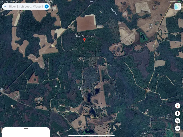 $35,000 | 0 River Birch Loop, Westville, FL 32464