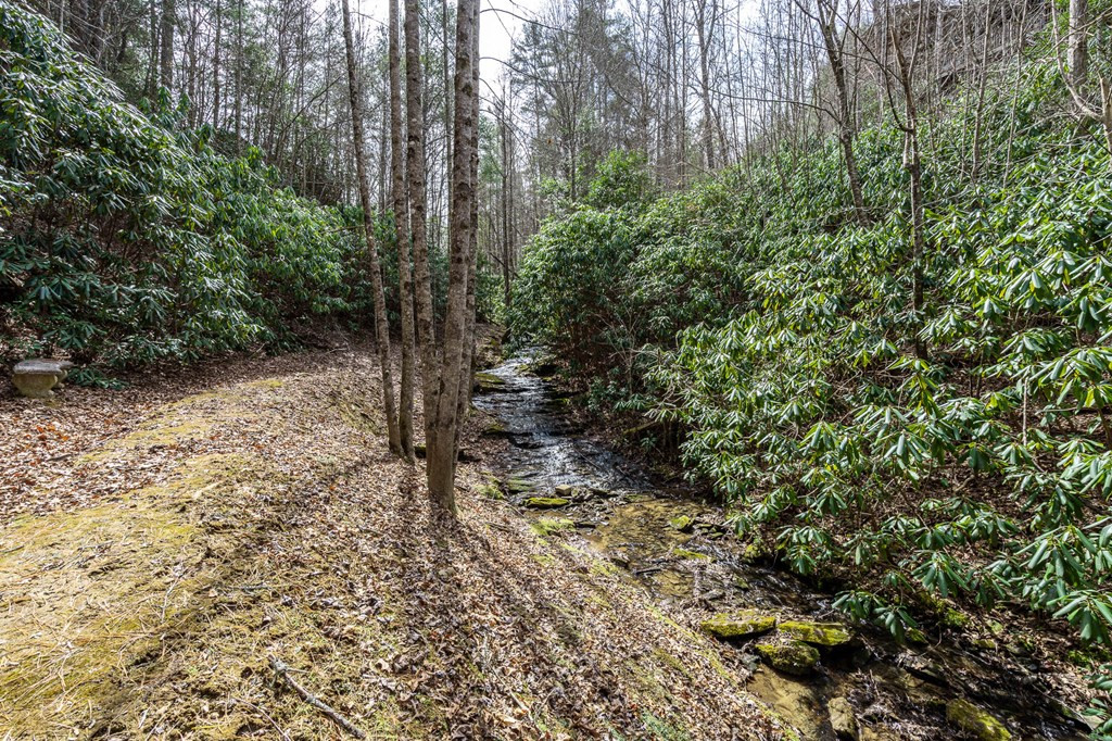 325 Trickling Branch Way Murphy, NC 28906 - Photo 44 of 58