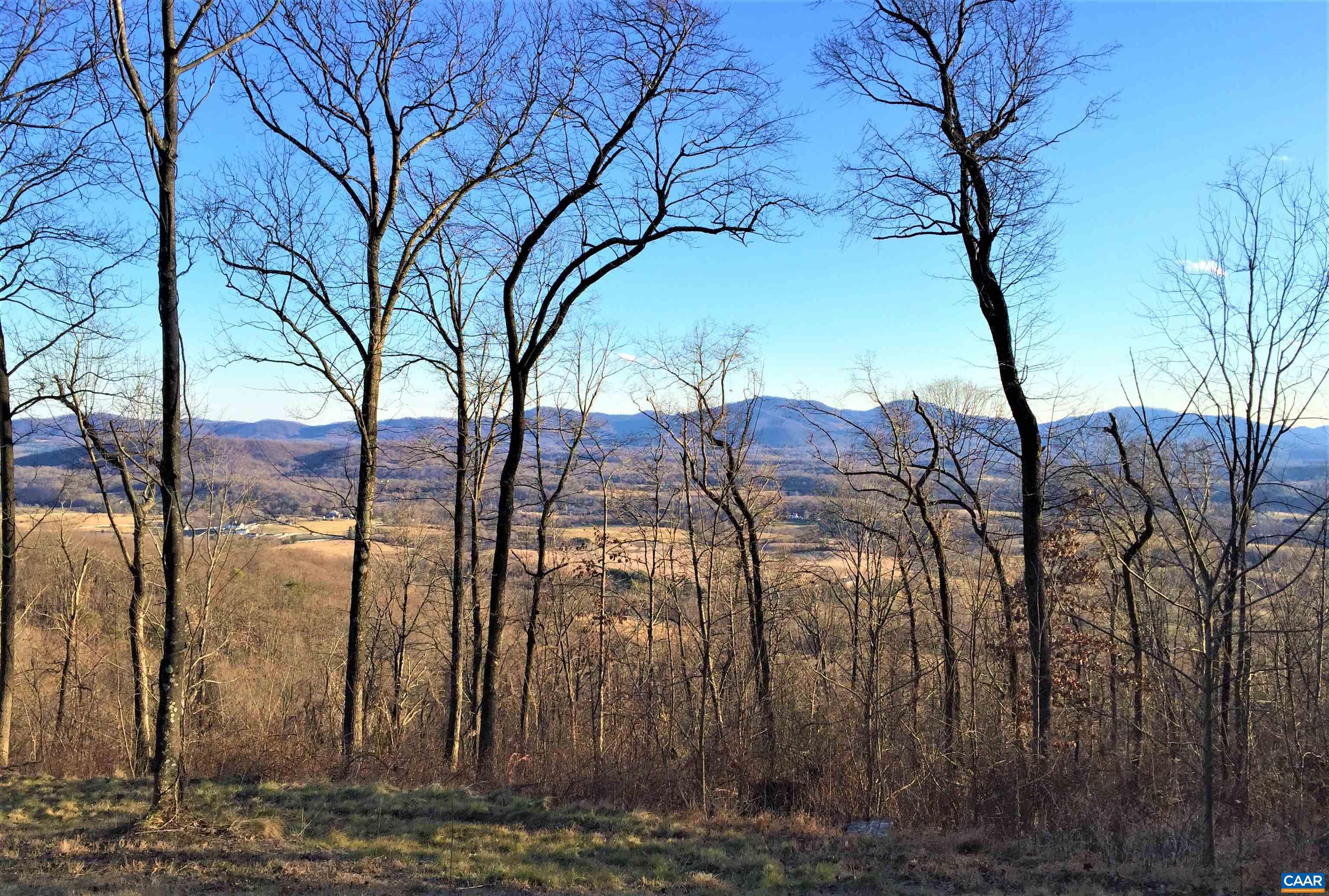 a view of swimming pool with a yard