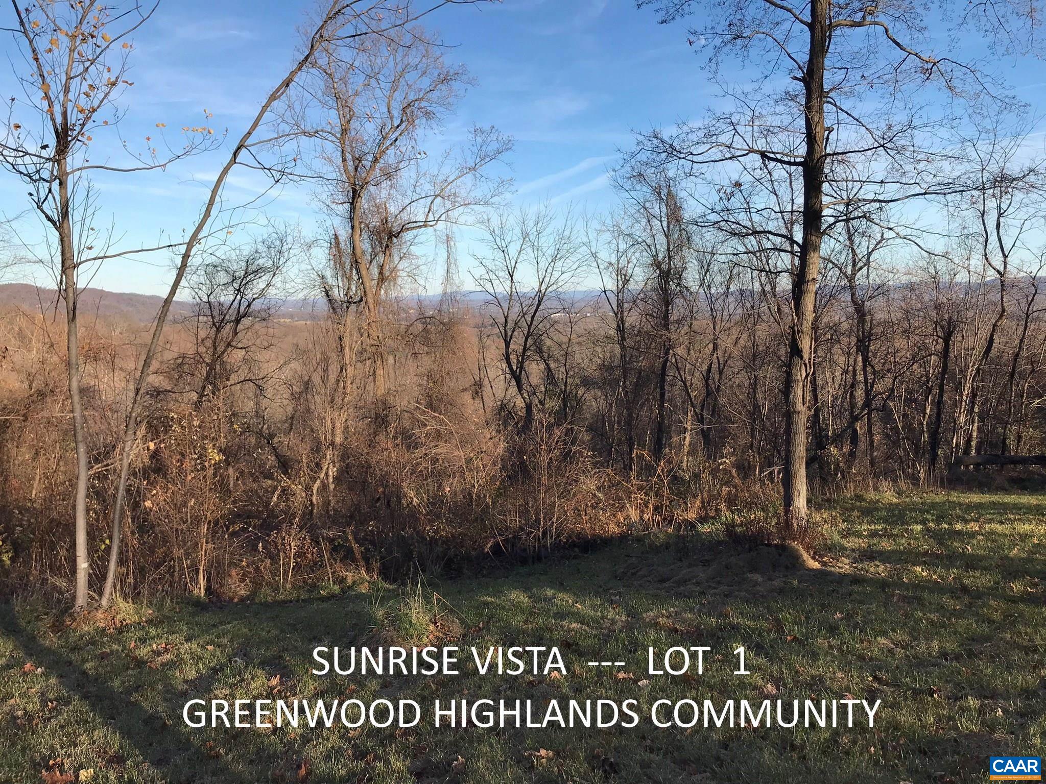1 Blackberry Ridge Road Greenwood, VA 22943 - Photo 5 of 7 a view of water with tree in the background