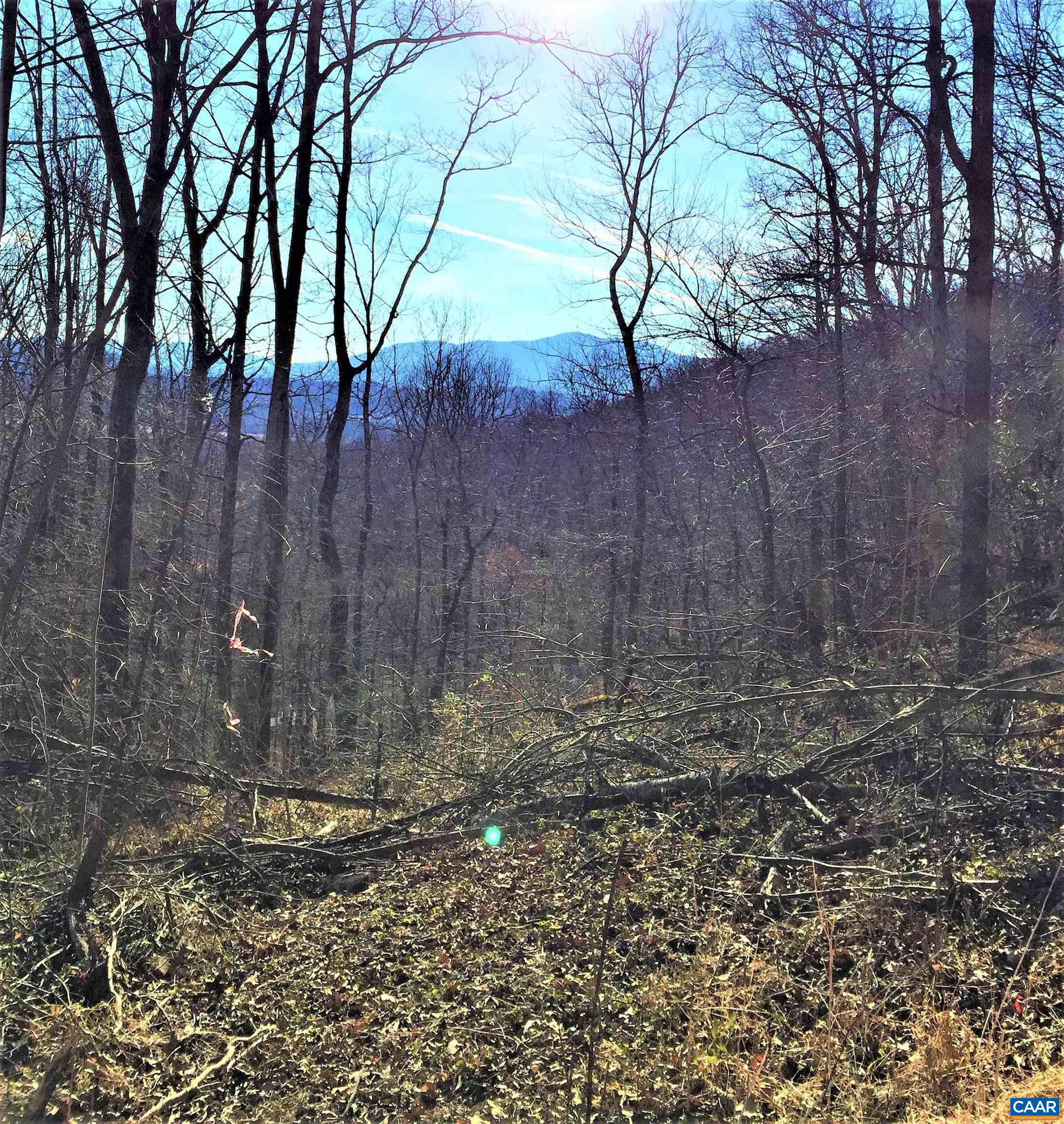 1 Blackberry Ridge Road Greenwood, VA 22943 - Photo 6 of 7 a view of a backyard of the house