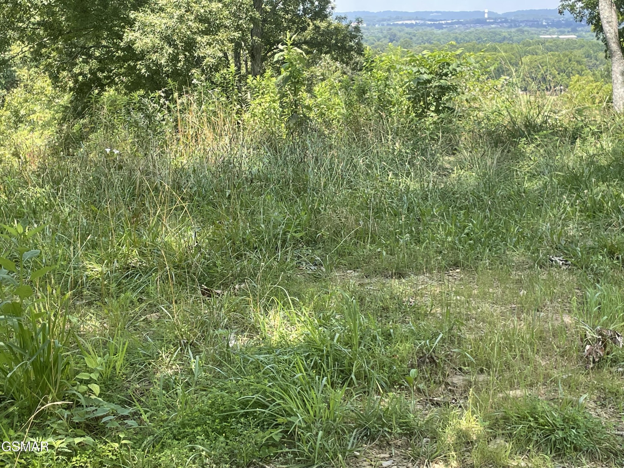 1 King Estates Road Sevierville, TN 37876 - Photo 4 of 9