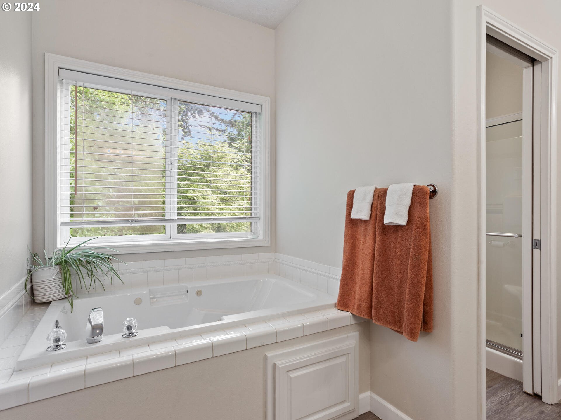 17156 Southeast Macanudo Street Damascus, OR 97089 - Photo 31 of 47 a bathroom with a sink and a bath tub