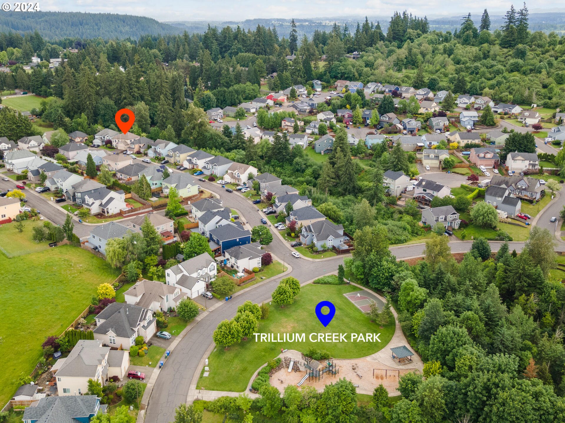 17156 Southeast Macanudo Street Damascus, OR 97089 - Photo 47 of 47 a view of a city