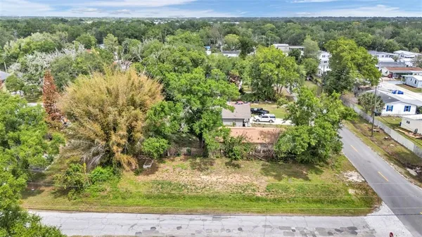 a view of a yard with a tree