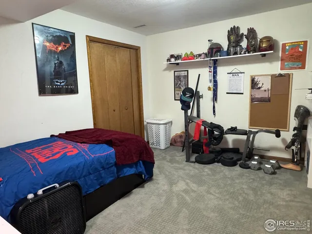 a bedroom with a bed and a closet