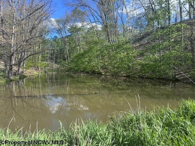 Tbd Shaffers Run Road Mill Creek, WV 26280 - Photo 3 of 43 Gallery Image 3