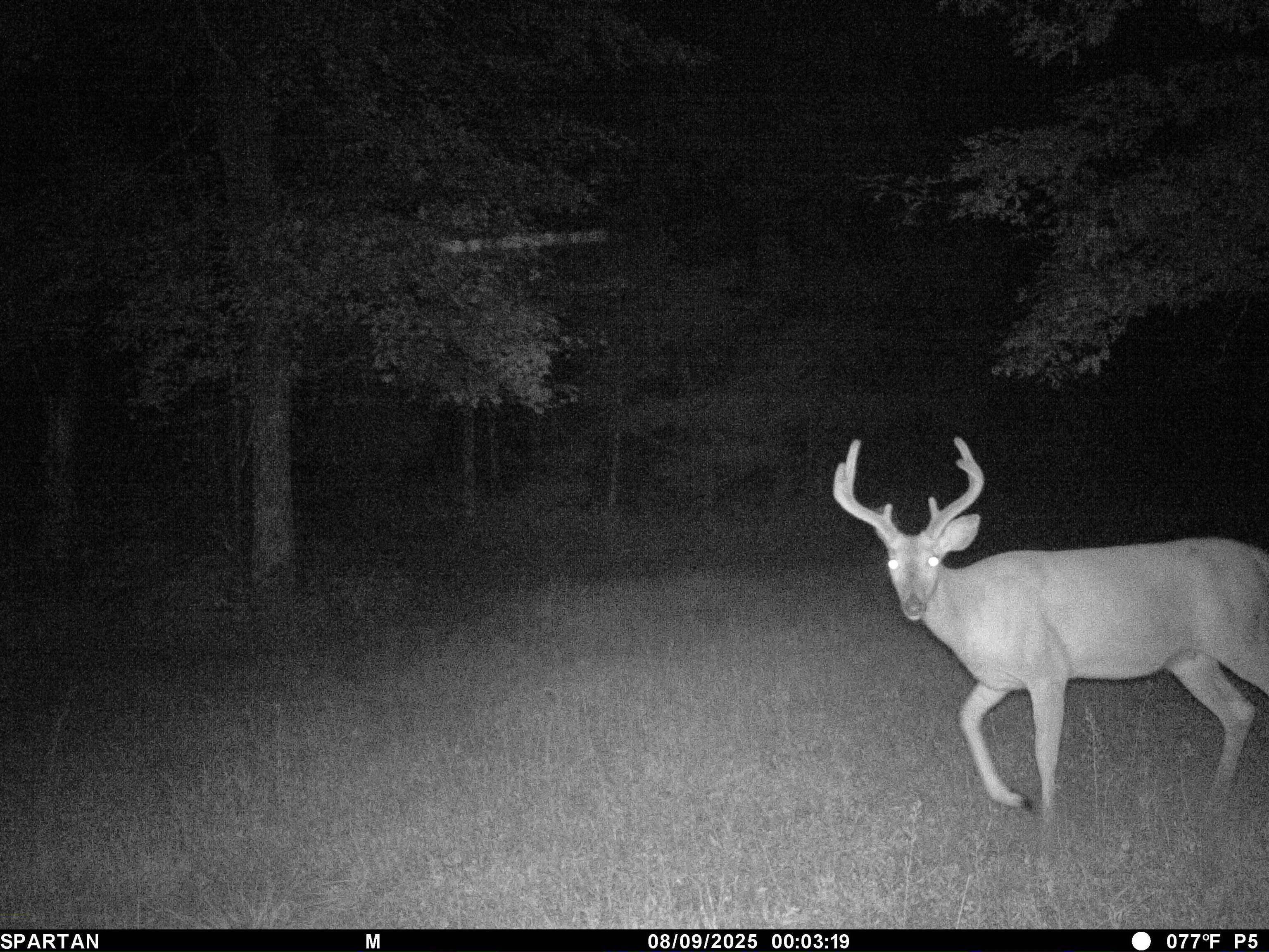 N3530 County Rd O Warrens, WI 54666 - Photo 59 of 71 Gallery Image 59