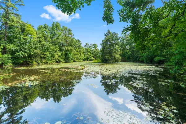 a view of lake with green space