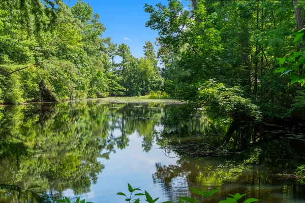 $1,500,000 | 426 Nursery Road, The Woodlands, TX 77380