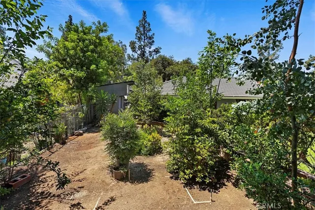 a plant that is in a garden