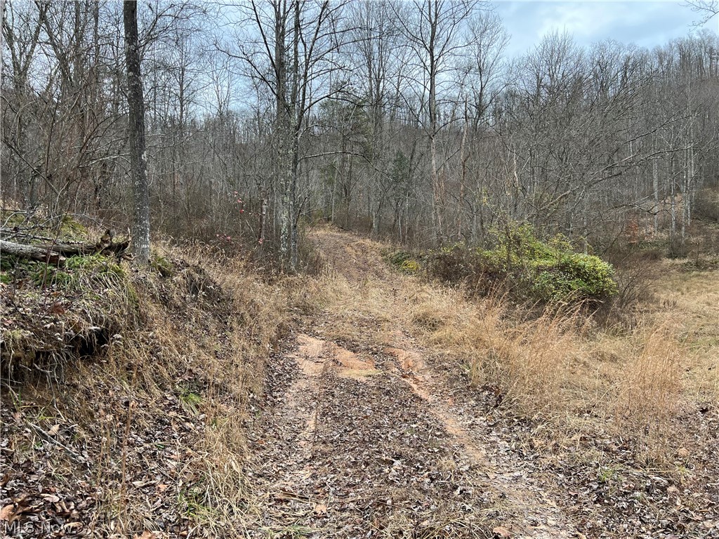 1101 Orchard Run Road Spencer, WV 25276 - Photo 24 of 31 Gallery Image 24