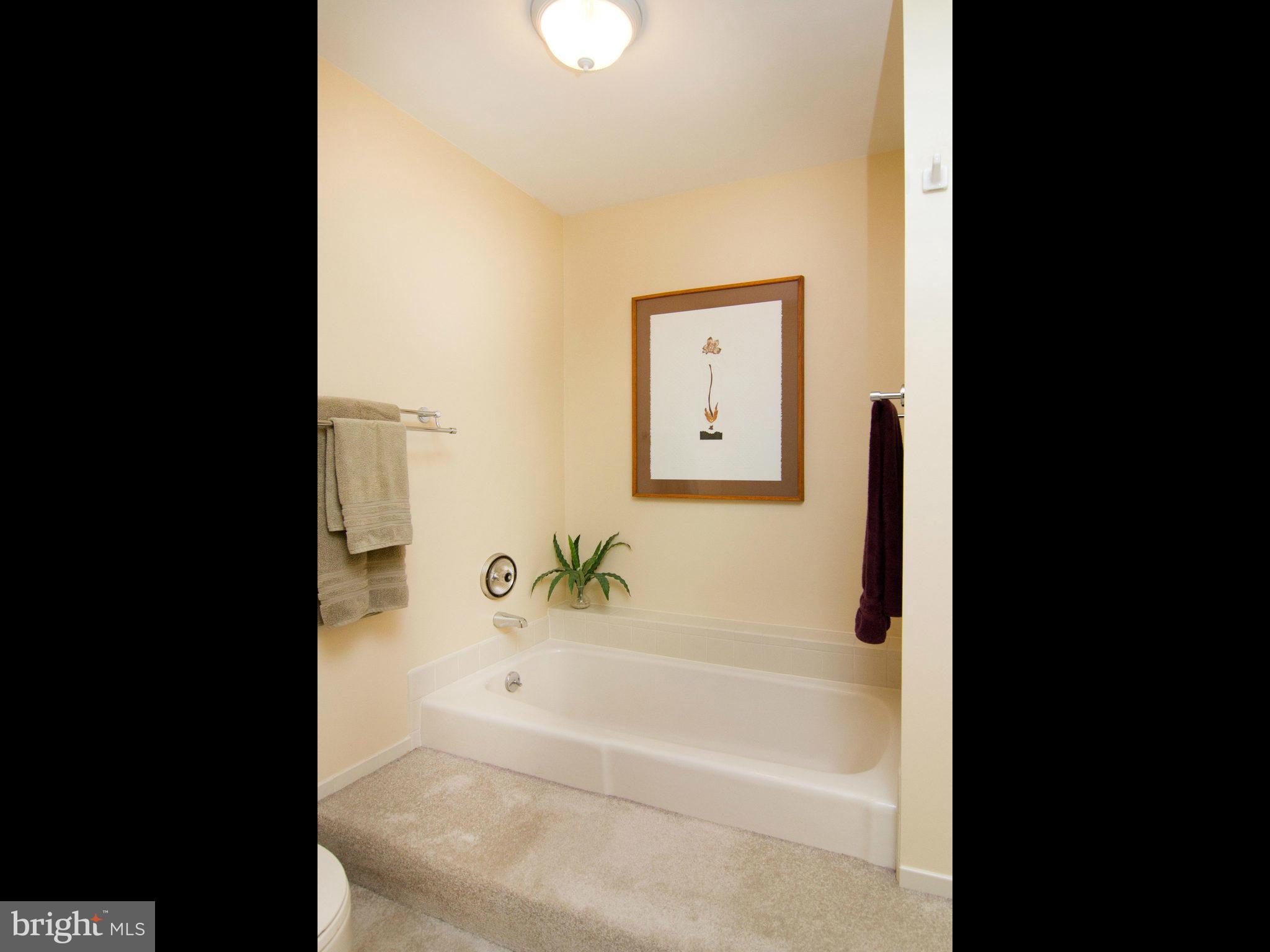 406 Obrecht Road Sykesville, MD 21784 - Photo 18 of 30 Bedroom (Master)