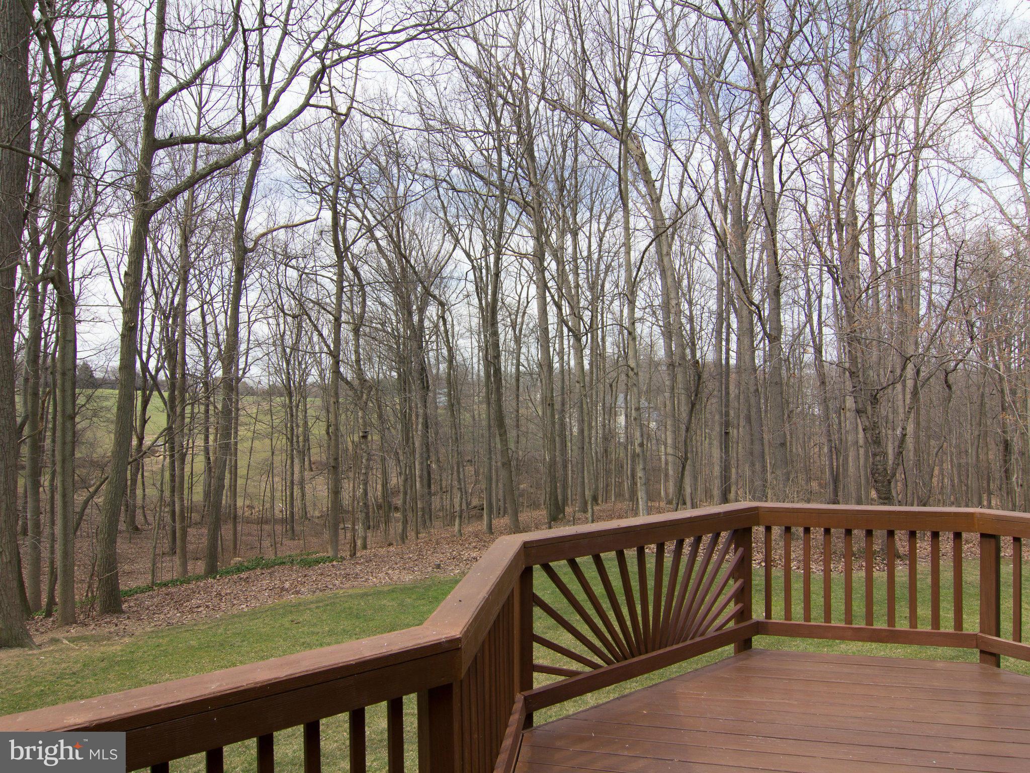 406 Obrecht Road Sykesville, MD 21784 - Photo 28 of 30 Exterior (Rear)