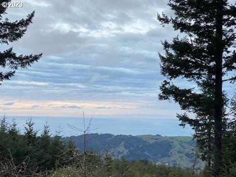 29281 North Grizzly Road Gold Beach, OR 97444 - Photo 2 of 48 View