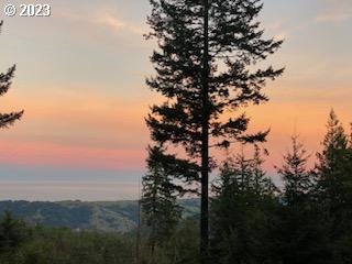 29281 North Grizzly Road Gold Beach, OR 97444 - Photo 3 of 48 View