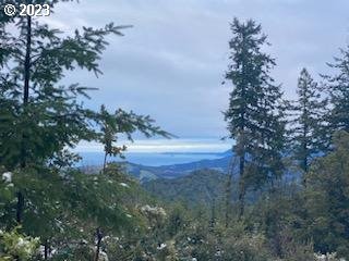 29281 North Grizzly Road Gold Beach, OR 97444 - Photo 34 of 48 View