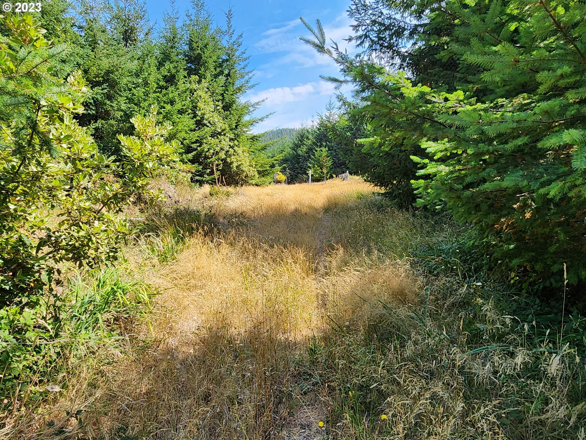 29281 North Grizzly Road Gold Beach, OR 97444 - Photo 39 of 48 Acreage