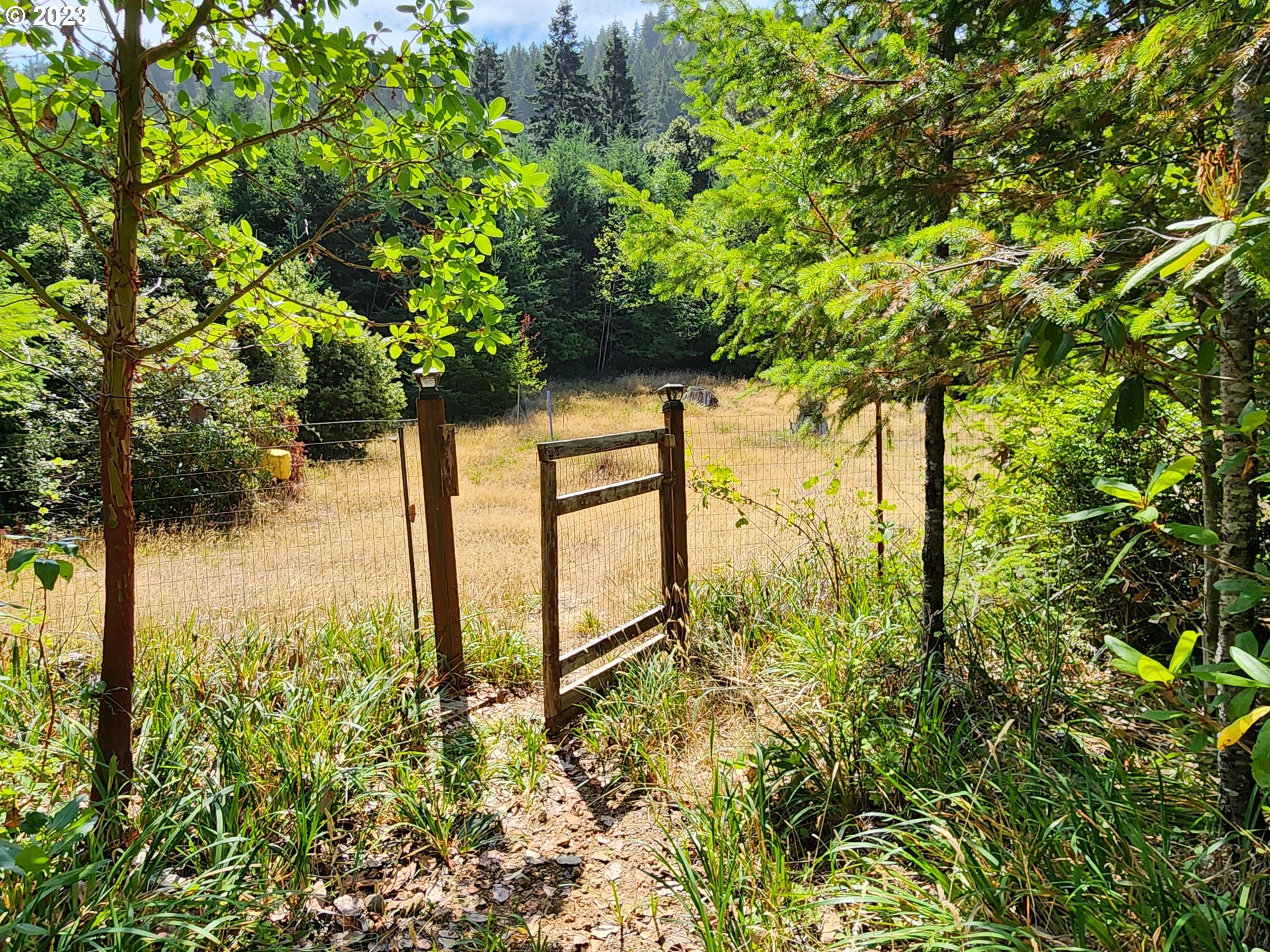 29281 North Grizzly Road Gold Beach, OR 97444 - Photo 4 of 48 Acreage