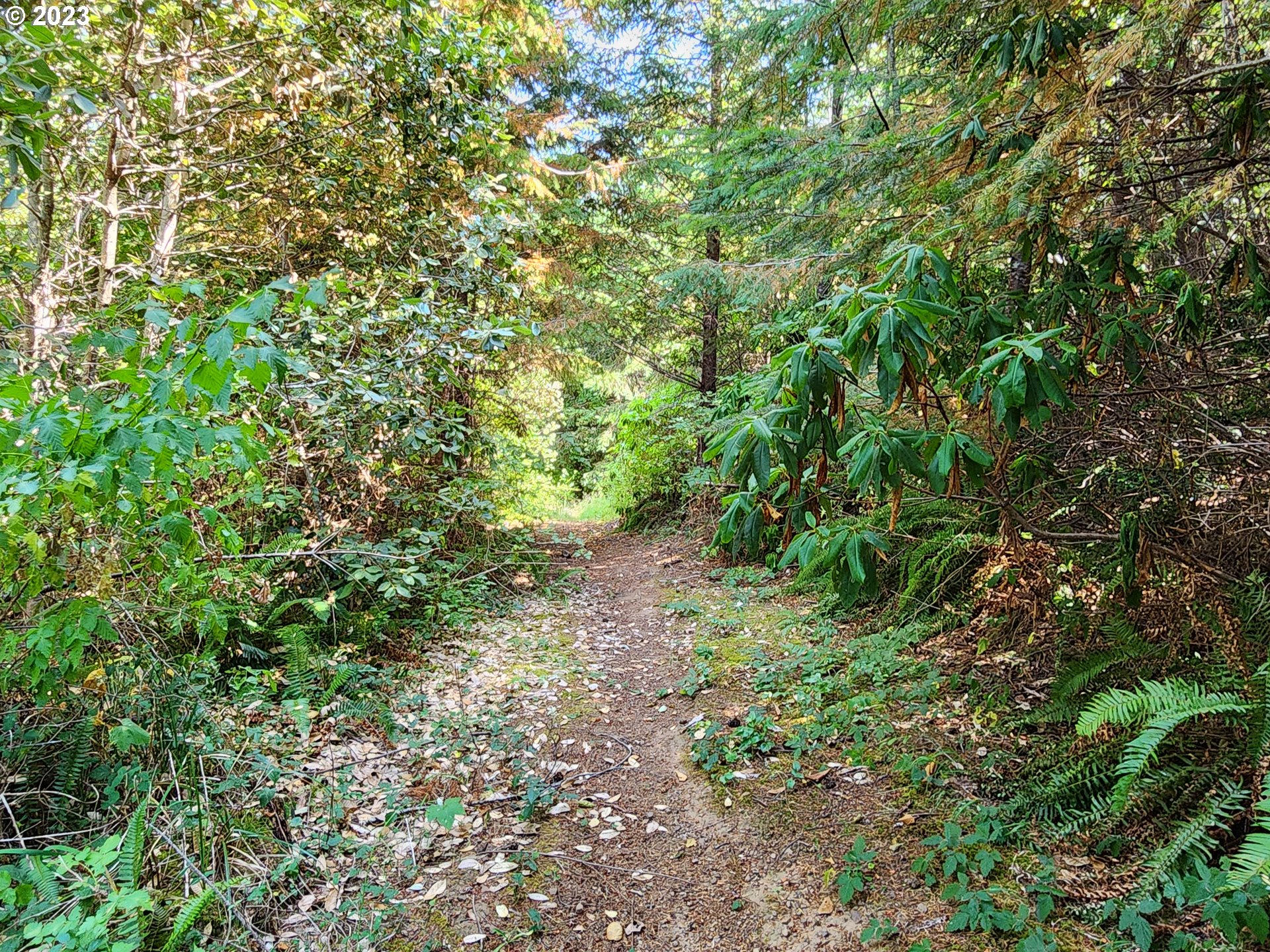 29281 North Grizzly Road Gold Beach, OR 97444 - Photo 42 of 48 Acreage