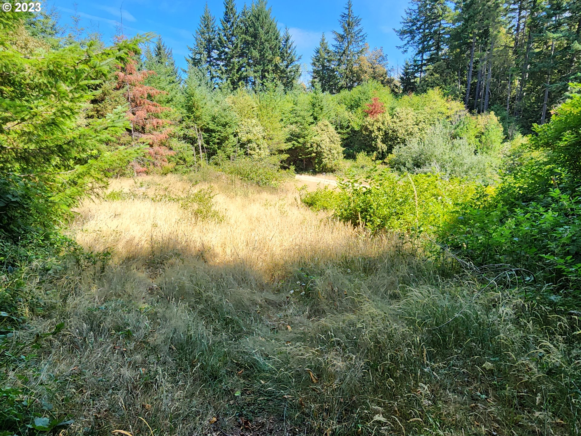29281 North Grizzly Road Gold Beach, OR 97444 - Photo 43 of 48 Acreage