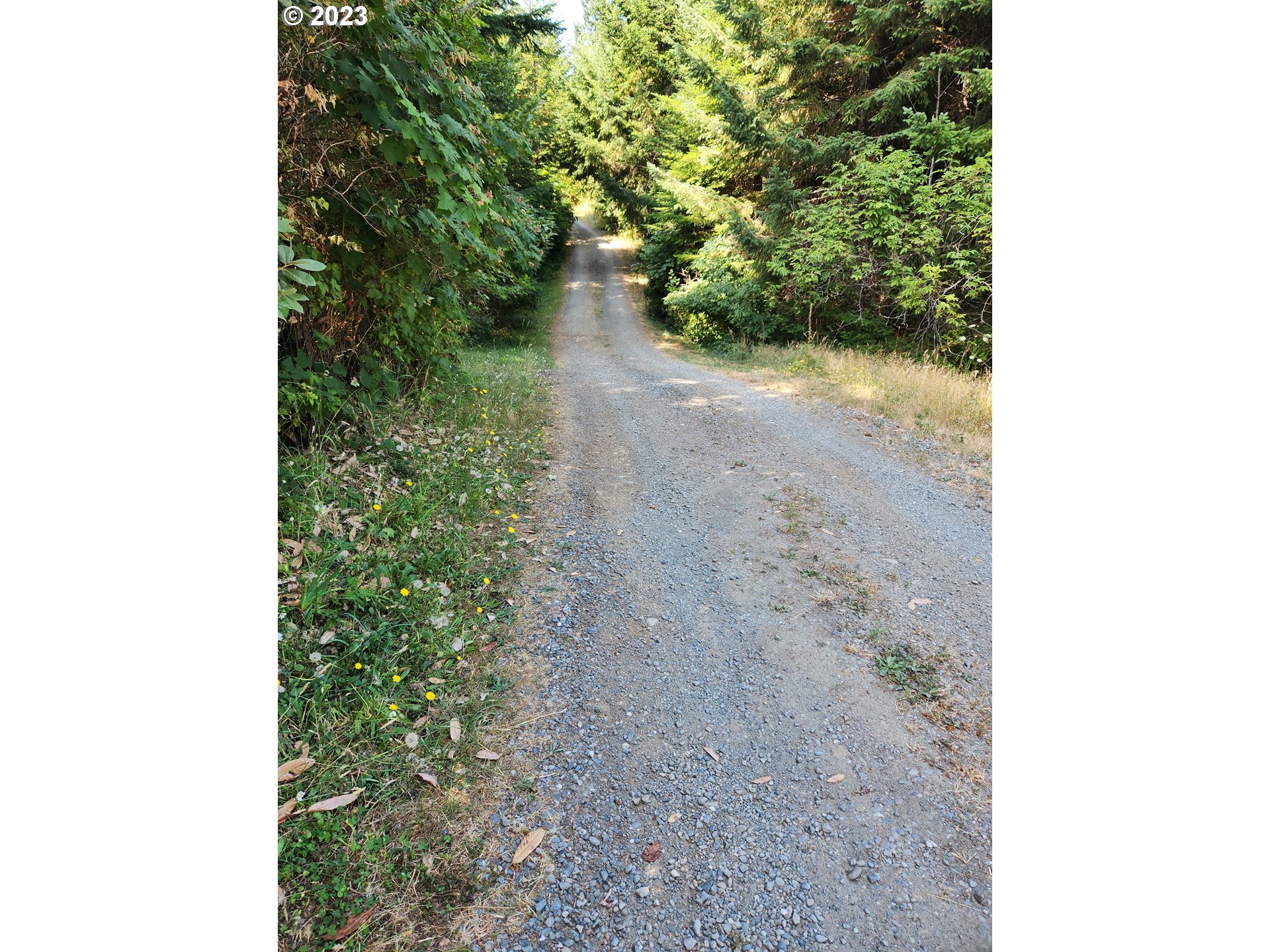 29281 North Grizzly Road Gold Beach, OR 97444 - Photo 44 of 48 Acreage
