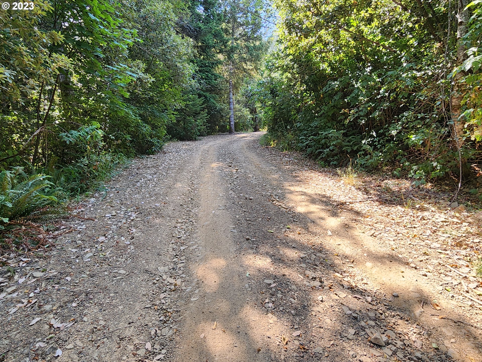 29281 North Grizzly Road Gold Beach, OR 97444 - Photo 45 of 48 Acreage