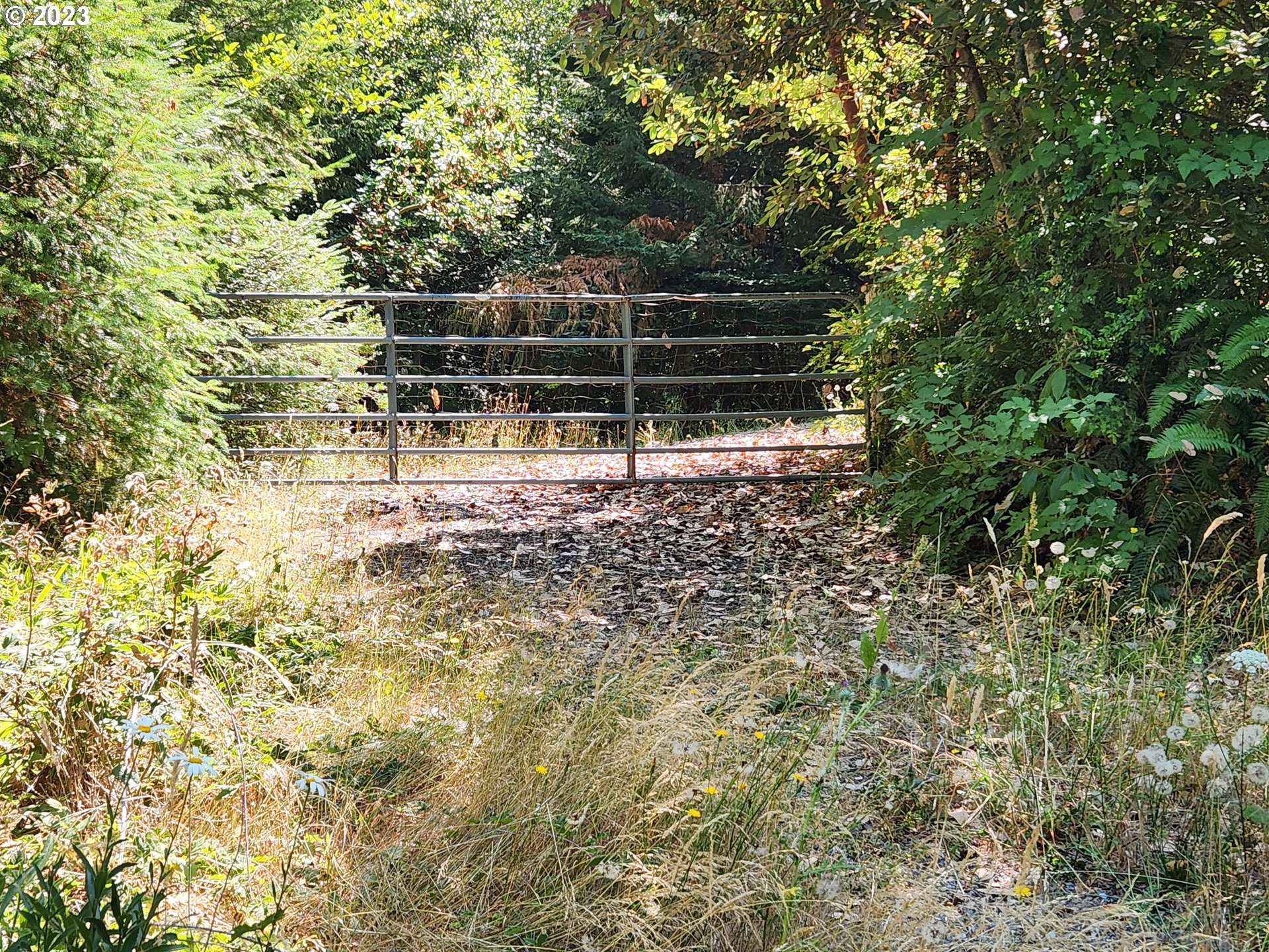 29281 North Grizzly Road Gold Beach, OR 97444 - Photo 48 of 48 Acreage