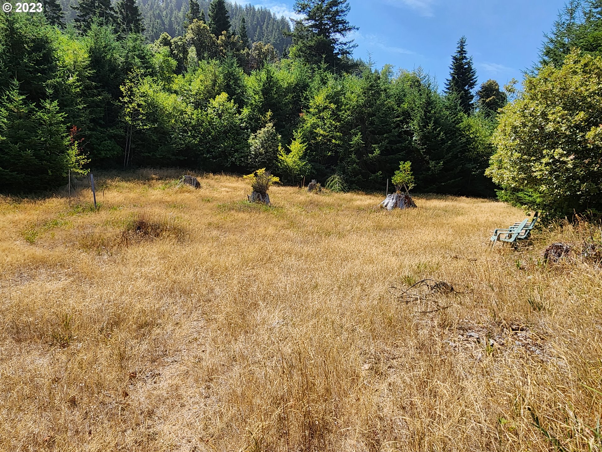 29281 North Grizzly Road Gold Beach, OR 97444 - Photo 5 of 48 Acreage