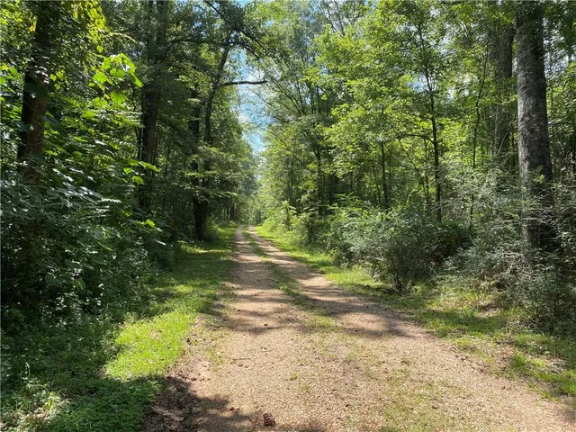 $310,560 | 2791 Highway 10 Other Greensburg La, Kentwood, LA 70444