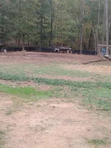 a view of open space with yard