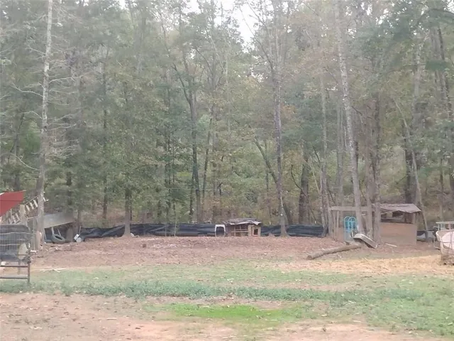 a view of a yard with a tree