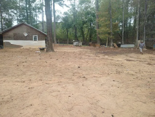 a view of a dry yard