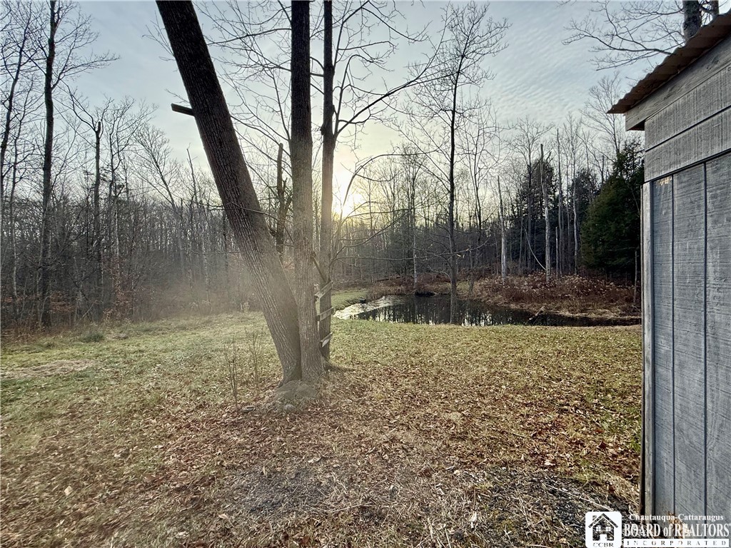 6982 Curriers Road Arcade, NY 14009 - Photo 16 of 47