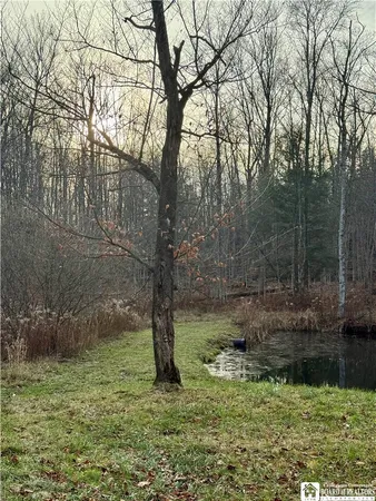 $375,000 | 6982 Curriers Road, Arcade, NY 14009