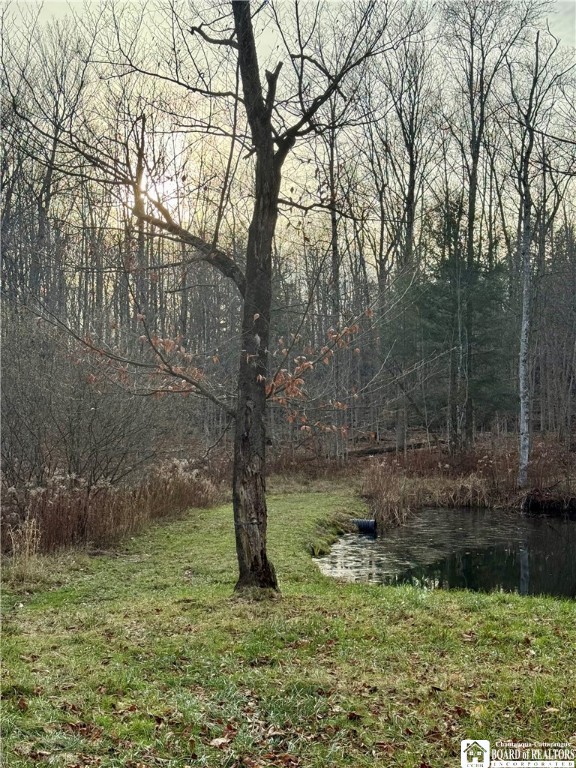 6982 Curriers Road Arcade, NY 14009 - Photo 18 of 47