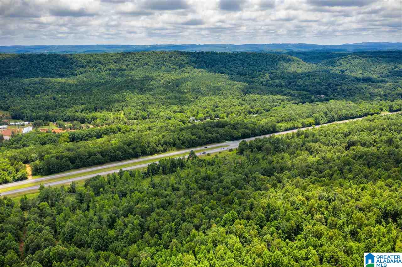0 Highway 75, Unit 5032 Oneonta, AL 35121 - Photo 14 of 18