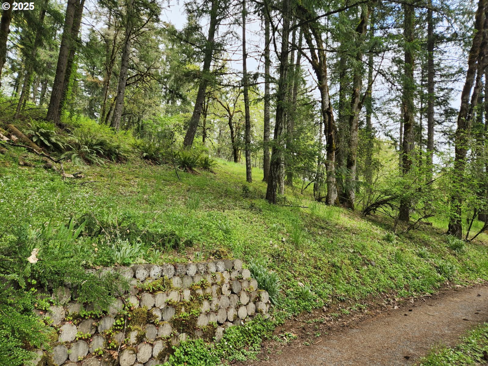 28387 Rainbow Valley Road Eugene, OR 97402 - Photo 2 of 9 a large yard with lots of green space and trees